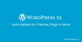 WordPress 5.5 - Auto Update for Themes, Plugins and More