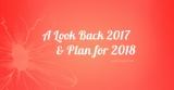 WPThemeGo – A Look Back to 2017 & Plan for 2018